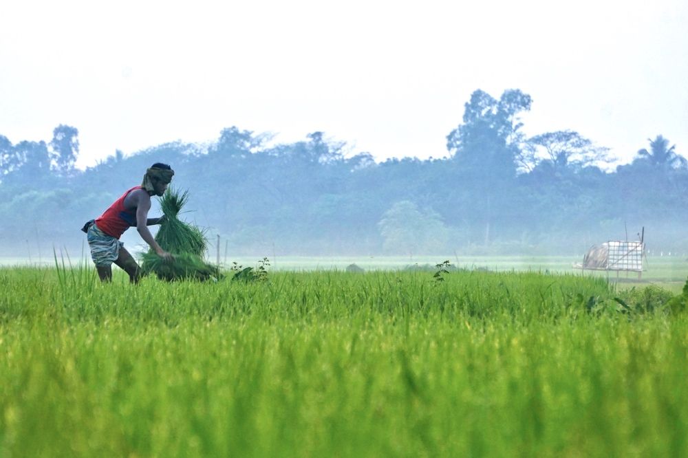 Photograph by Washiful Majid