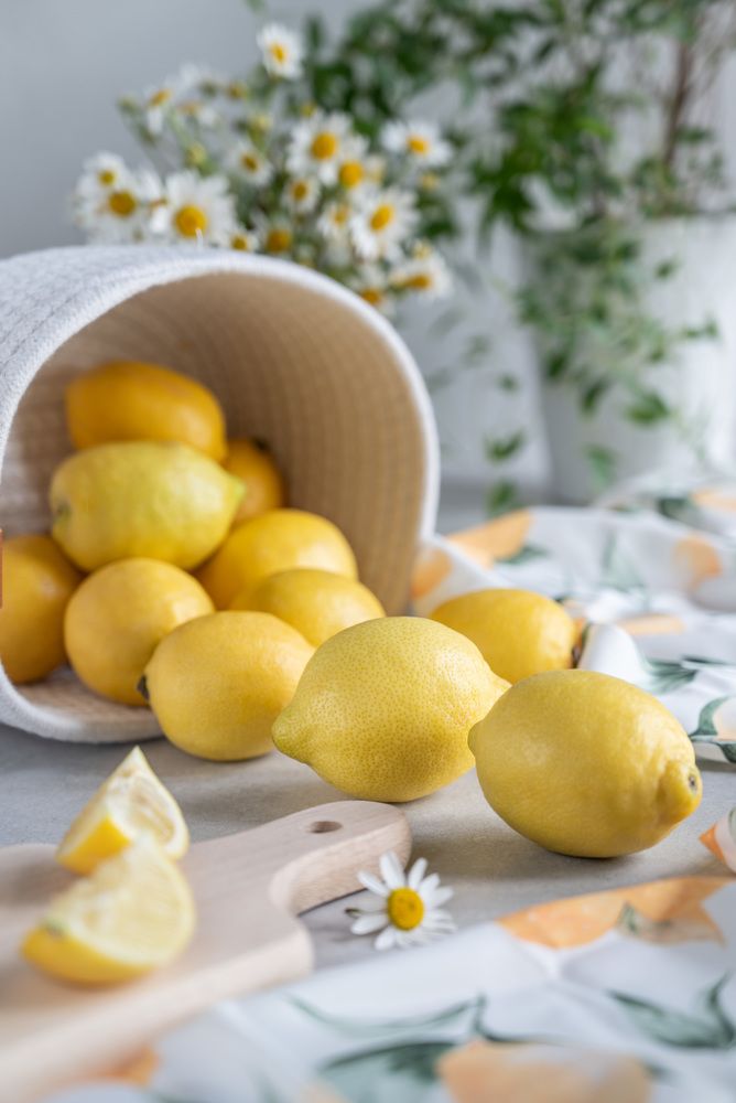 Photograph by Liliia Slobodianiuk