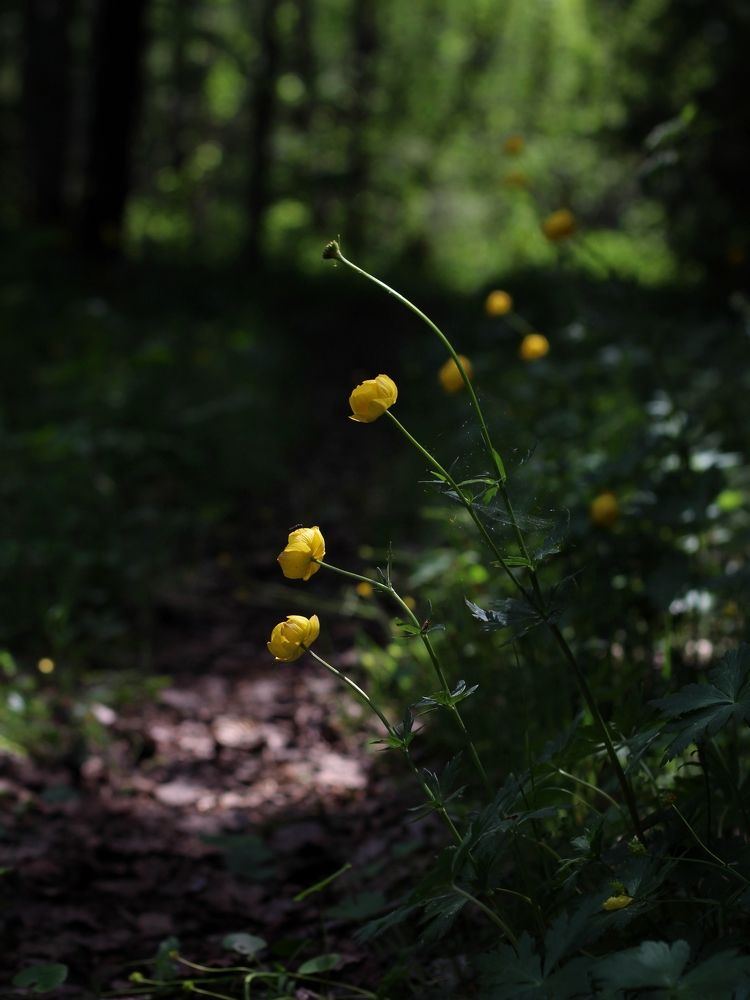 Photograph by 