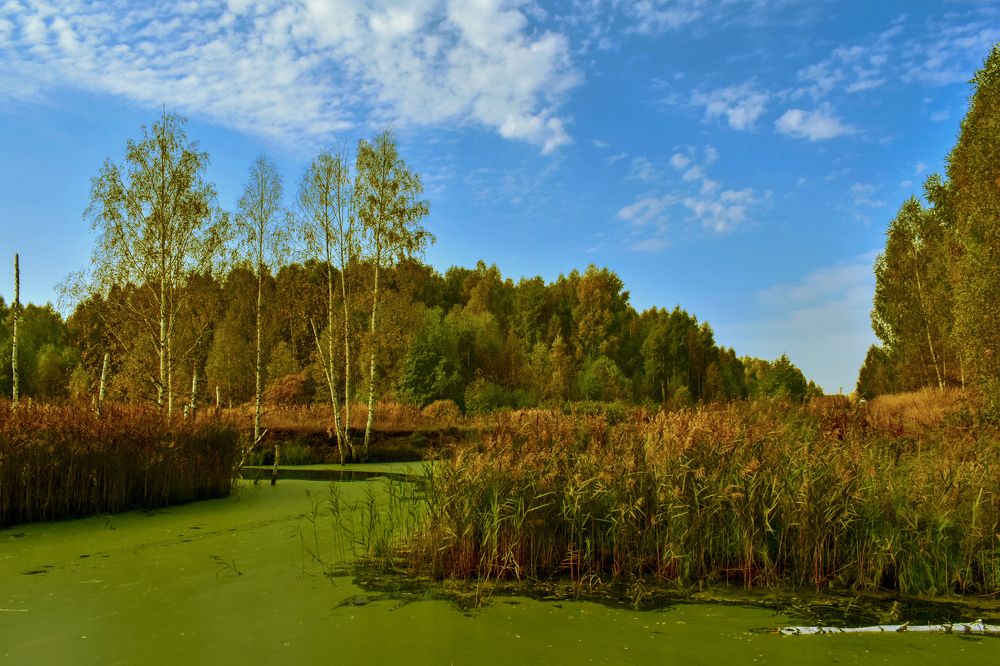 Photograph by Margarita