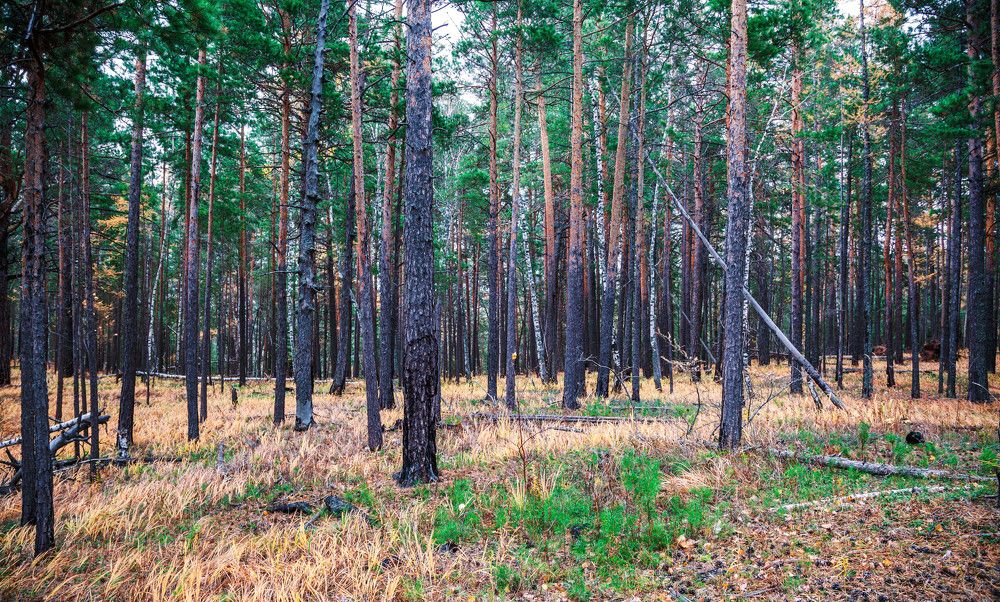 Photograph by Толян Бууулочкин