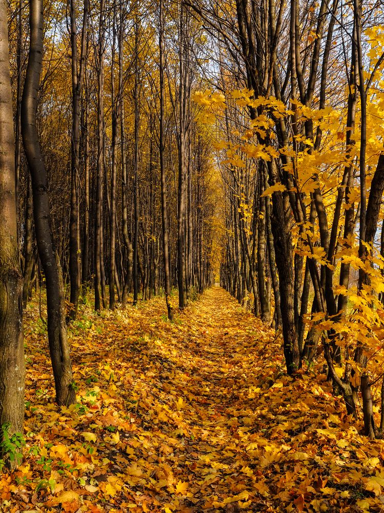 Photograph by Сергей Гаврилов