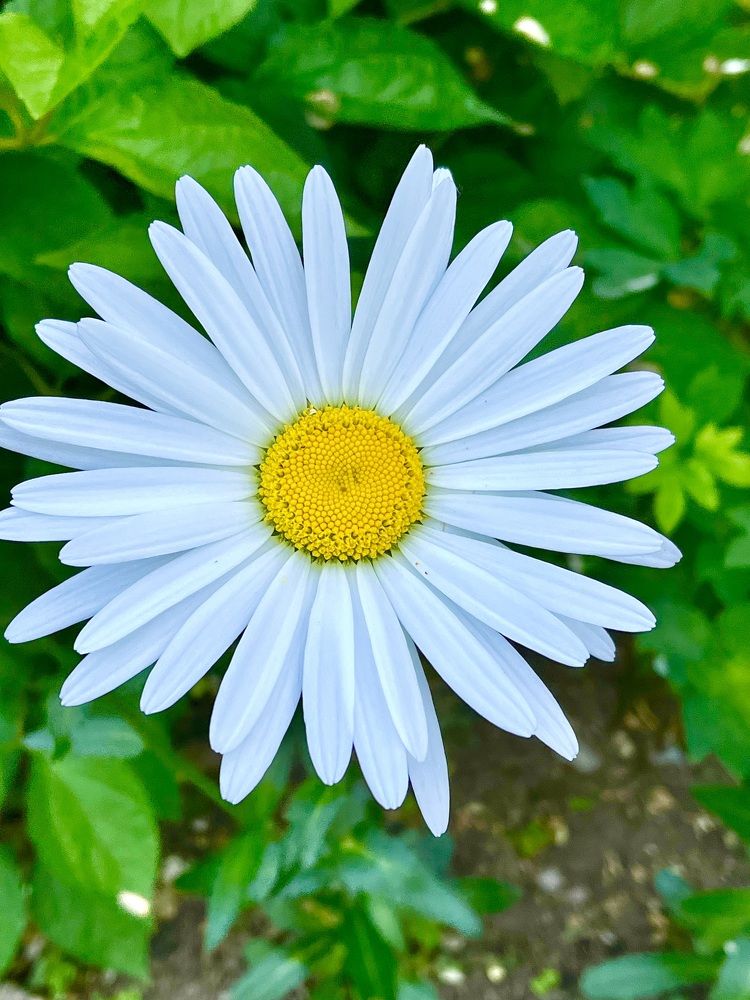 Photograph by Александр Мокров