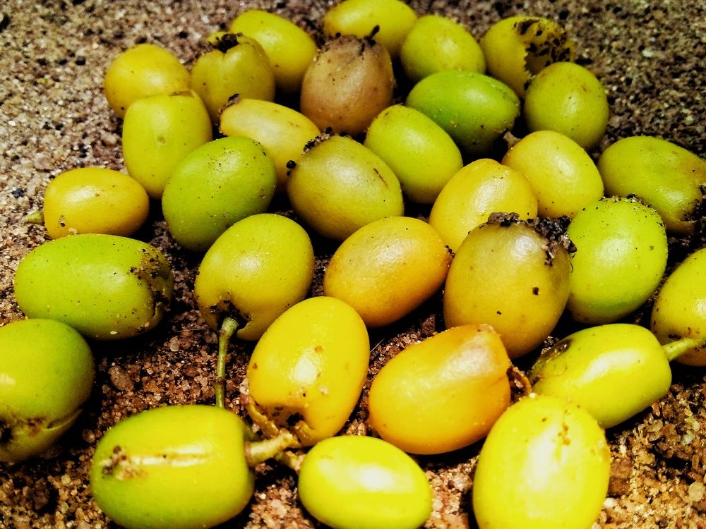 Photograph by Sash Jay