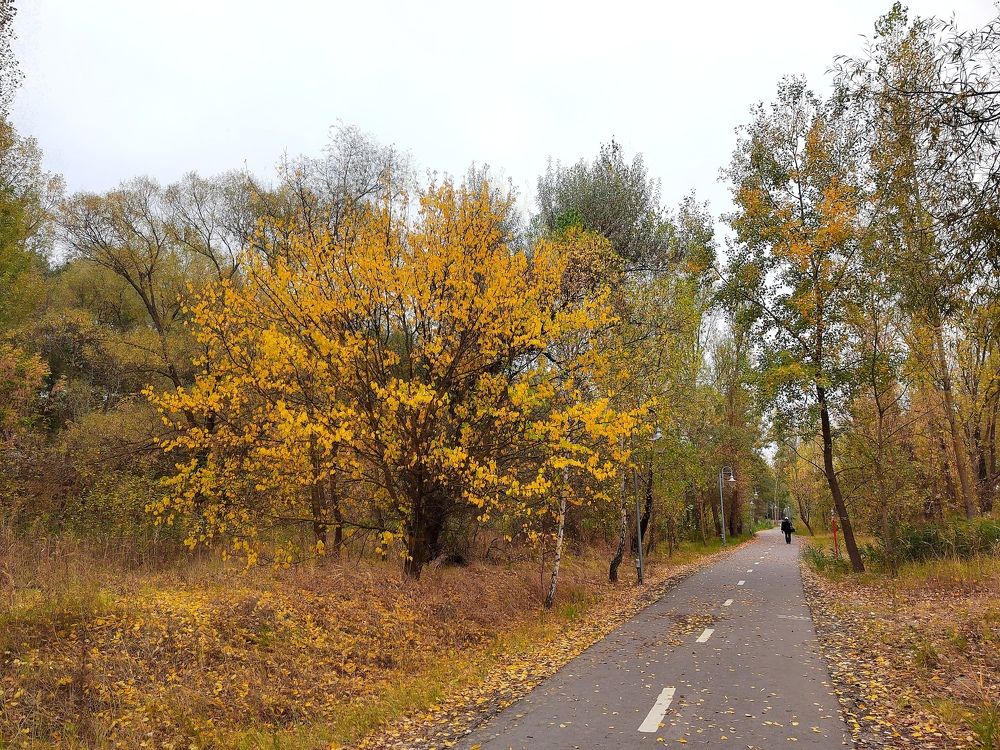 Photograph by Куделенко Оксана