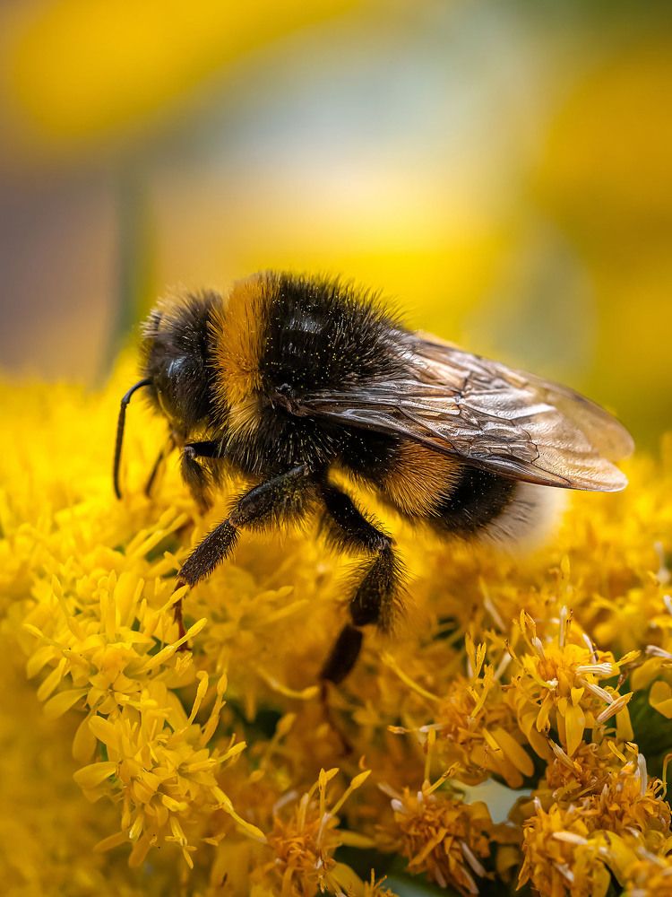 Photograph by Василий Губский