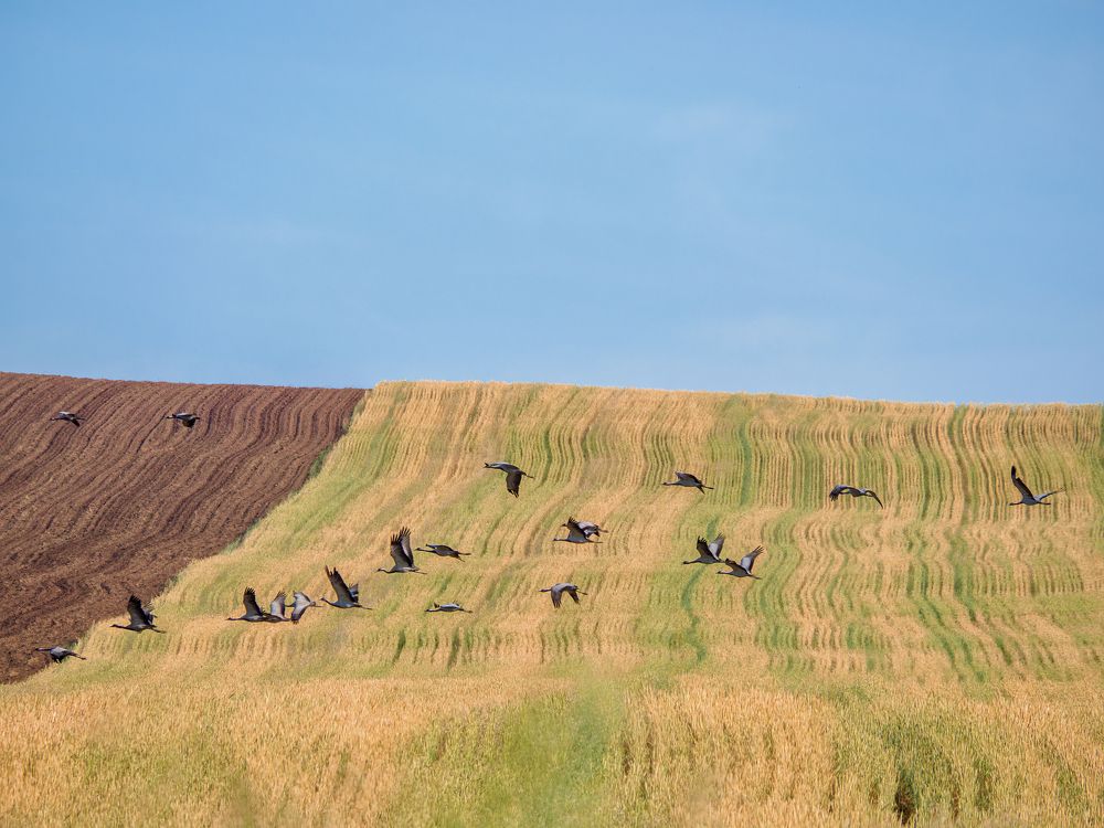 Фотография автора Иван Фомин