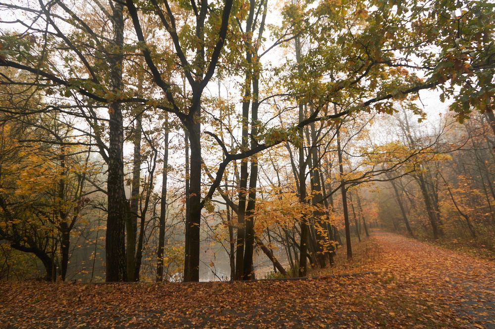 Photograph by Inna Tatarchenko