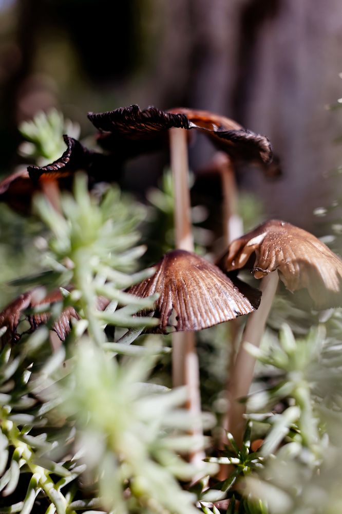 Photograph by Ольга Богданова