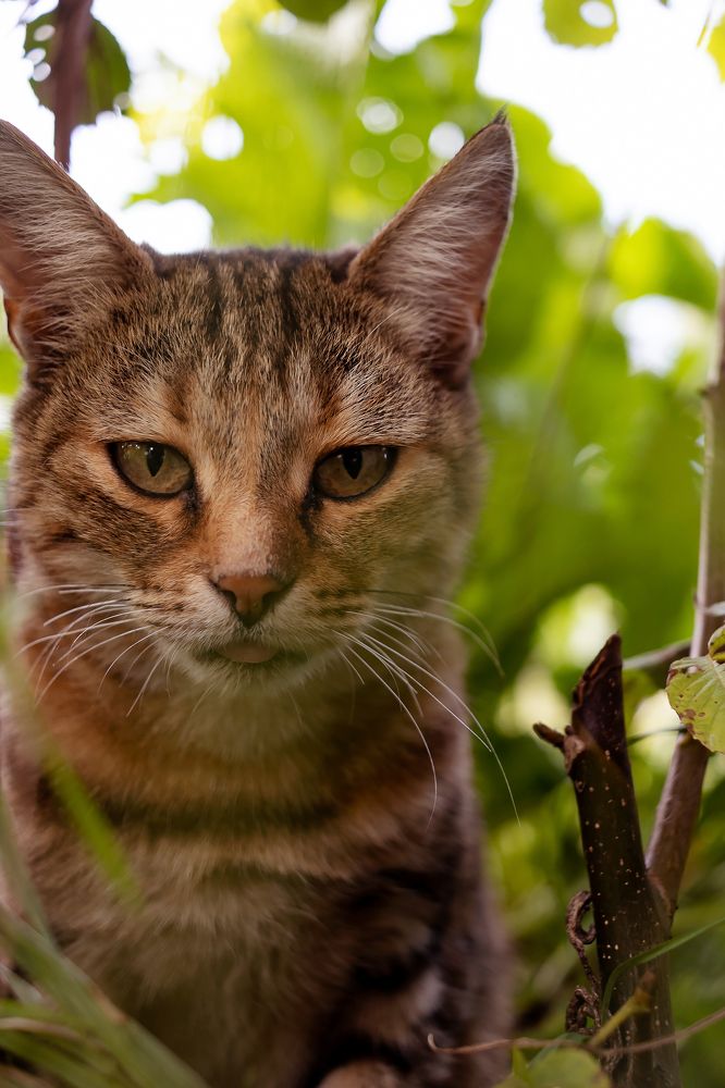 Photograph by Ольга Богданова