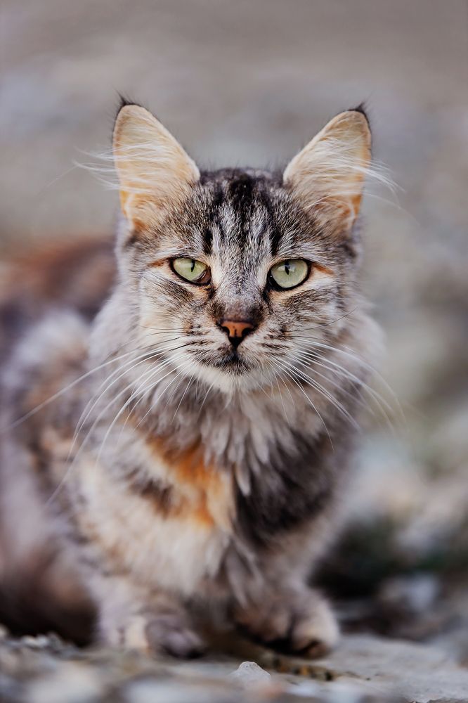 Photograph by Ольга Богданова