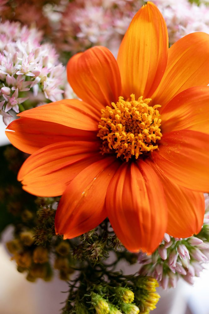 Photograph by Ольга Богданова