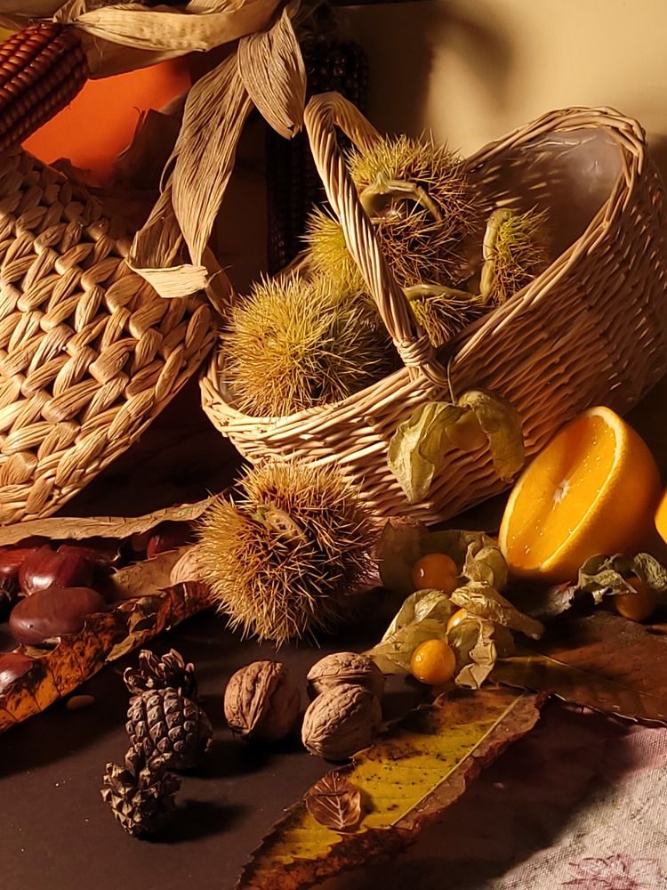 Photograph by Catherine Walter-Prêtre