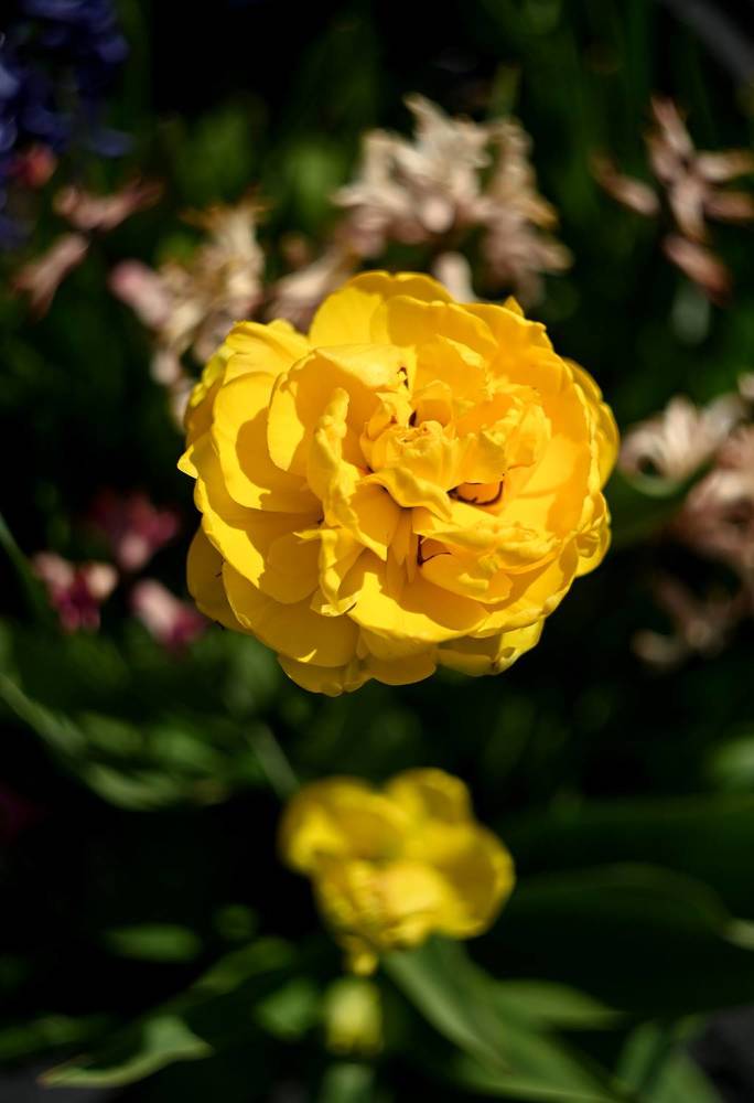 Photograph by Ольга Михайлова