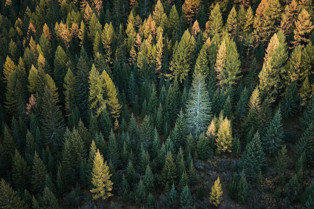 Photograph by Загруев Михаил