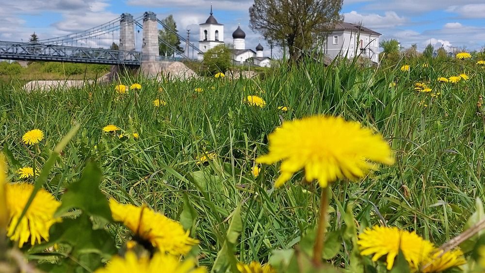 Фотография автора Максим Егоров