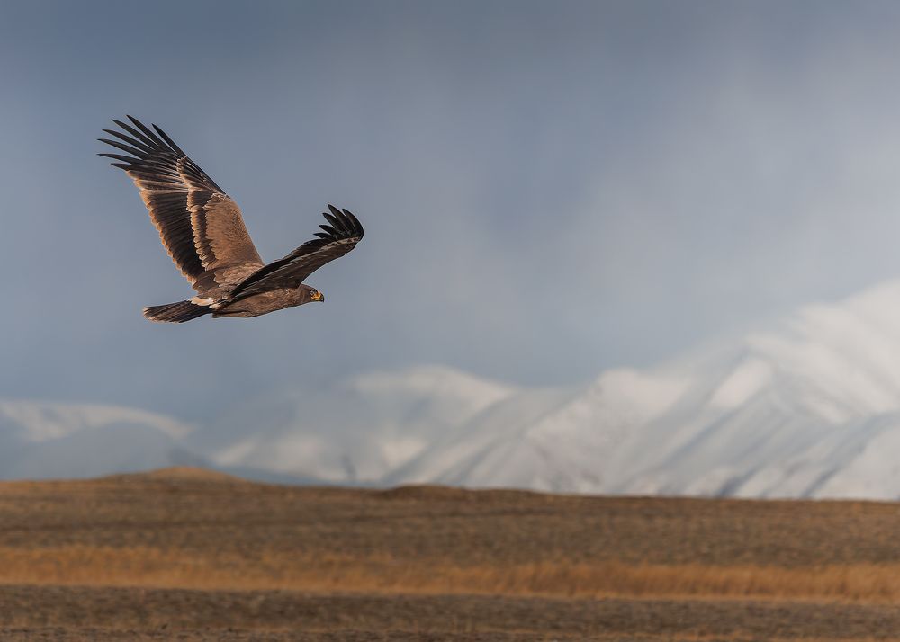 Photograph by Загруев Михаил