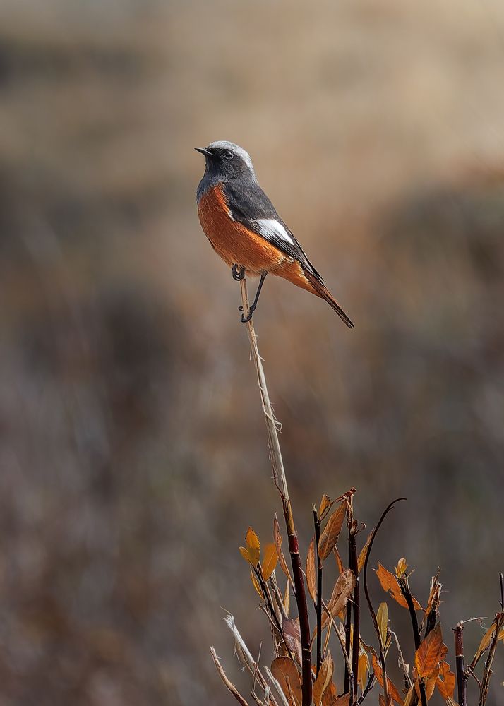 Photograph by Загруев Михаил