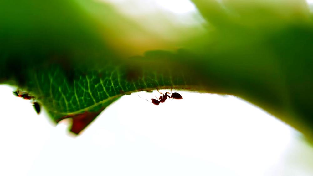 Photograph by Павел Вихрев