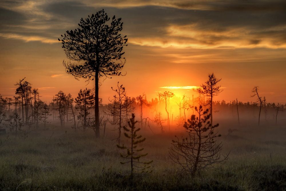 Photograph by Vladimir Bragilevsky