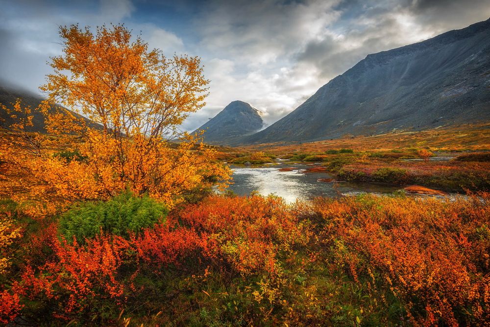 Photograph by Vladimir Bragilevsky