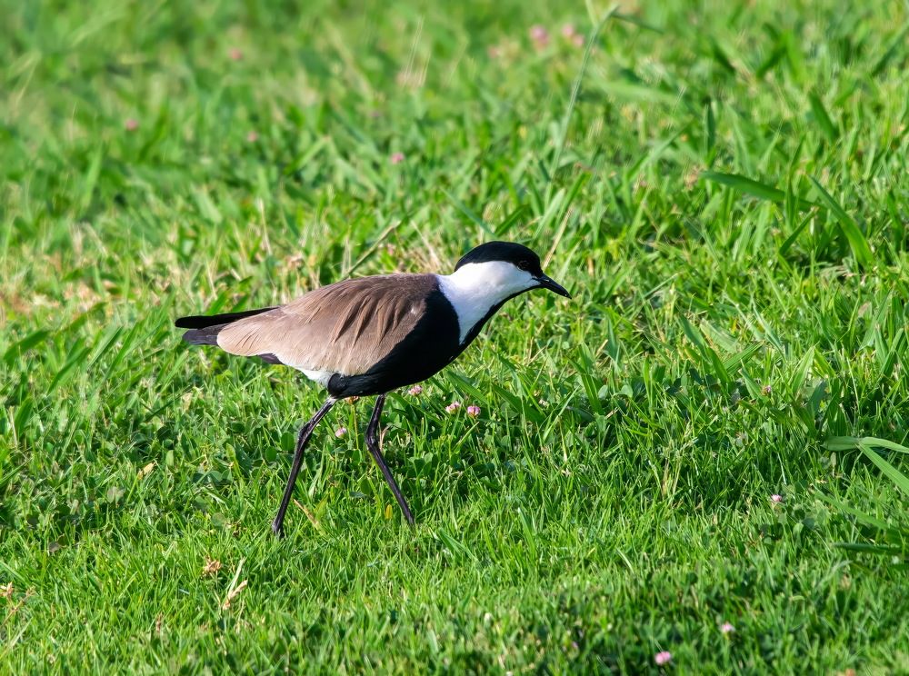 Photograph by Vladimir Bragilevsky