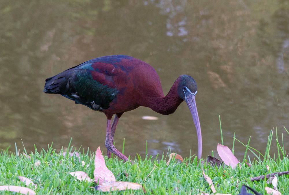 Photograph by Vladimir Bragilevsky