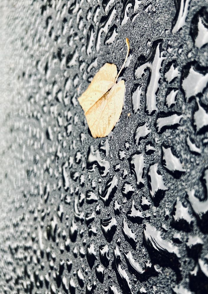 Photograph by Олег Банковский