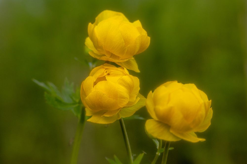 Photograph by Алексей Широбоков