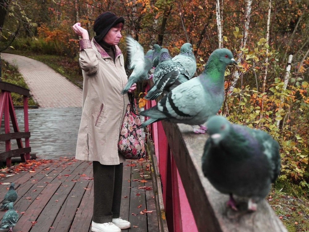 Photo #11146172