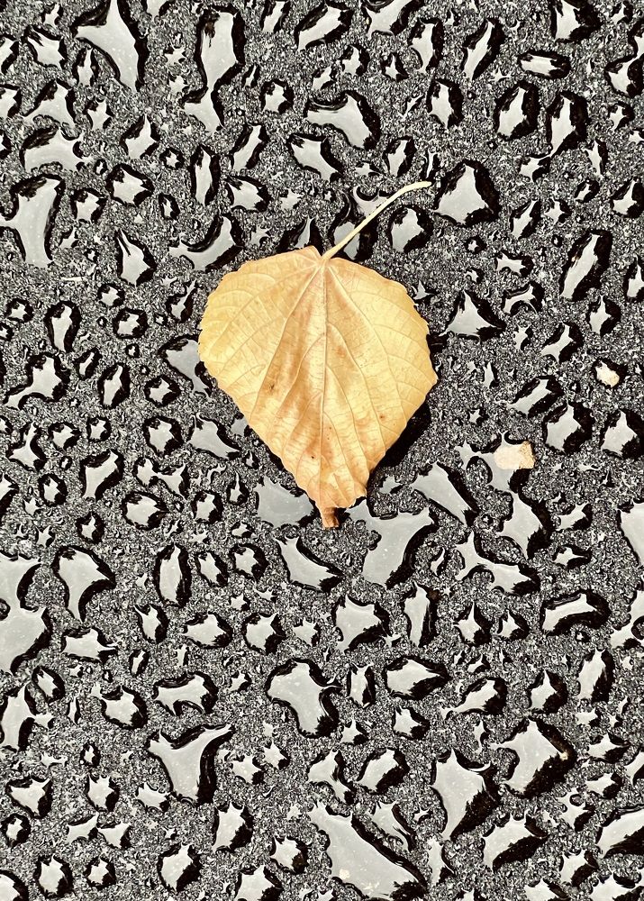 Photograph by Олег Банковский