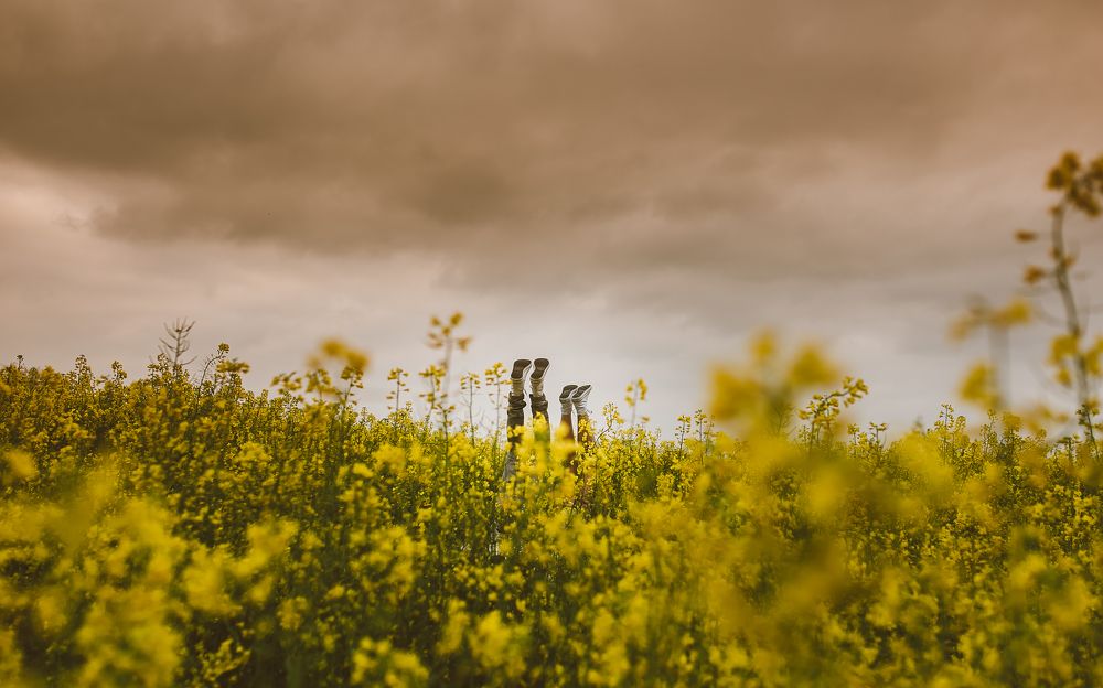 Photograph by Вероника Гергерт