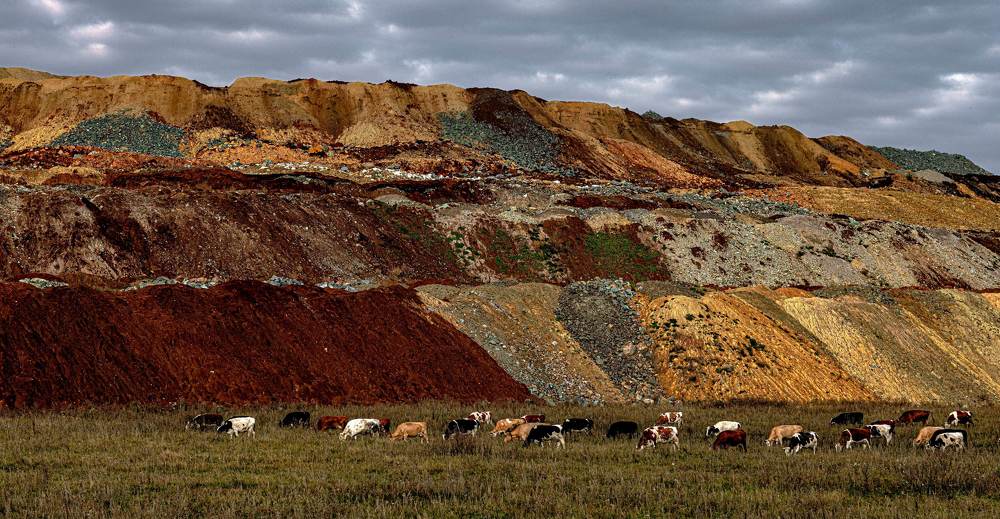 Photograph by Сергей Синягин