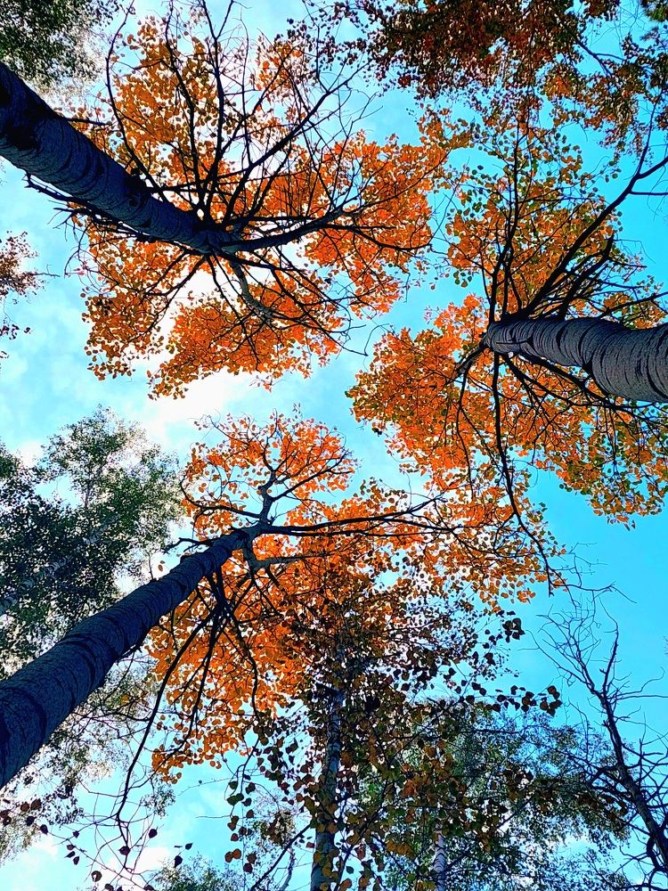 Фотография автора Анастасия