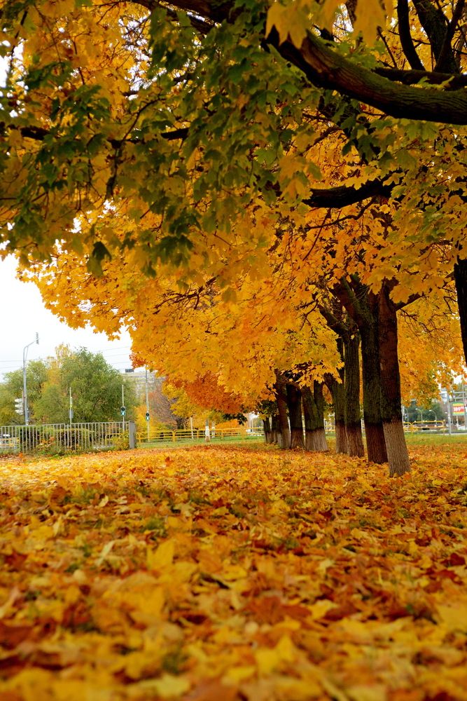 Photograph by Алексей Volg