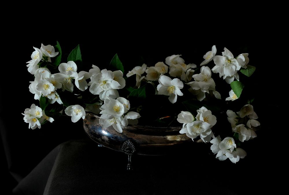 Photograph by Алексей Volg