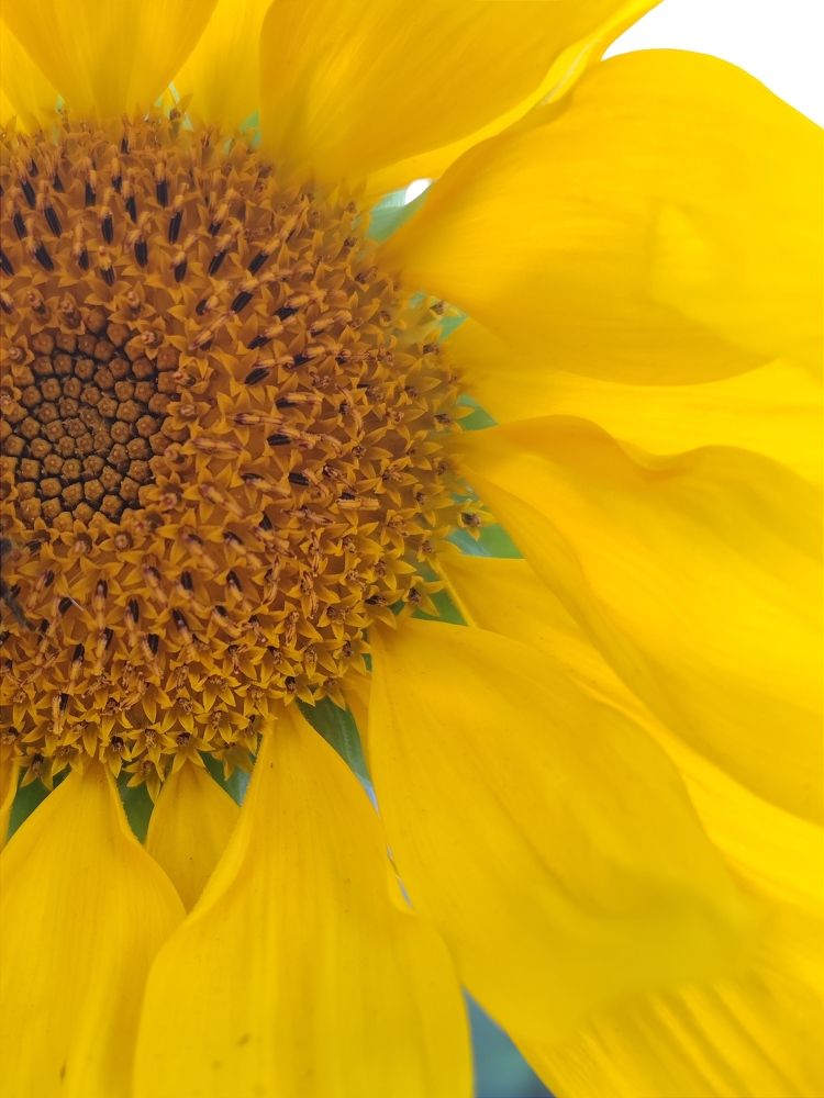 Photograph by Екатерина Харитонова