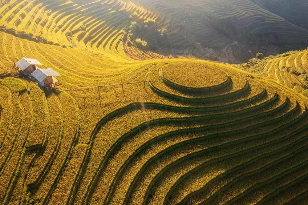 Photograph by Lien Vu