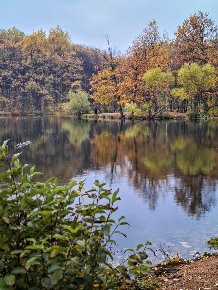 Photograph by Людмила Григорьева