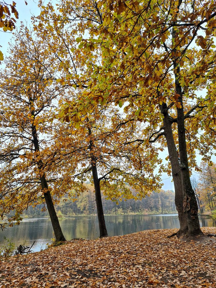 Photograph by Людмила Григорьева