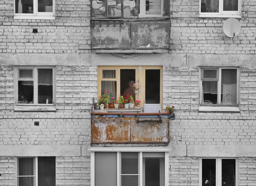 Застывшая жизнь