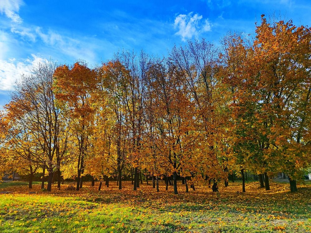 Photograph by Анна Напримерова