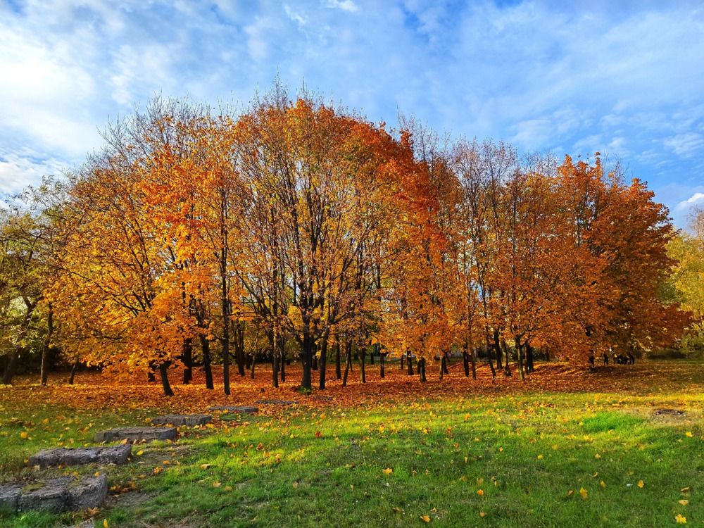 Photograph by Анна Напримерова