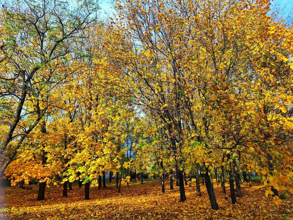 Photograph by Анна Напримерова