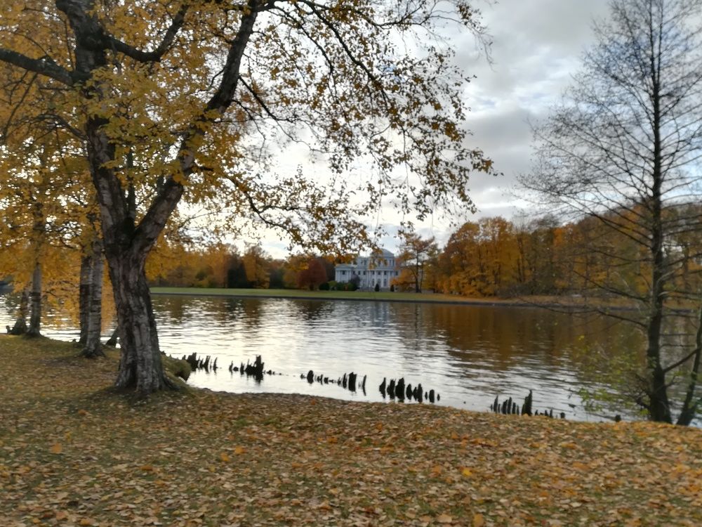 Photograph by Елизавета