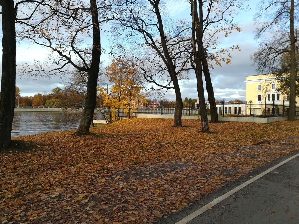 Photograph by Елизавета