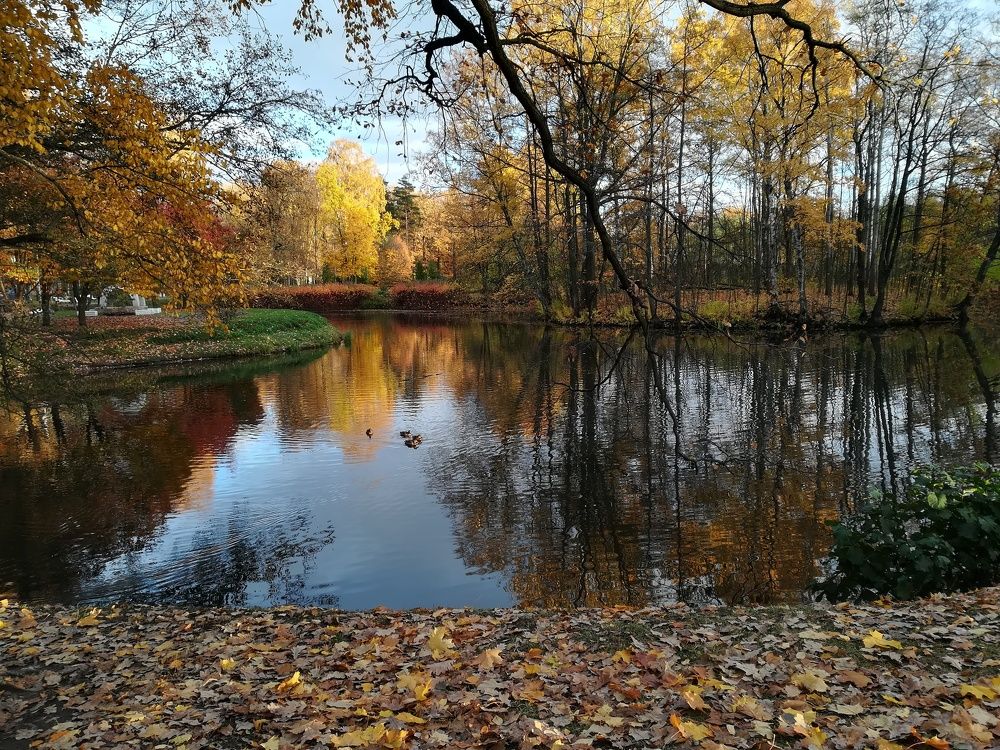 Photograph by Елизавета