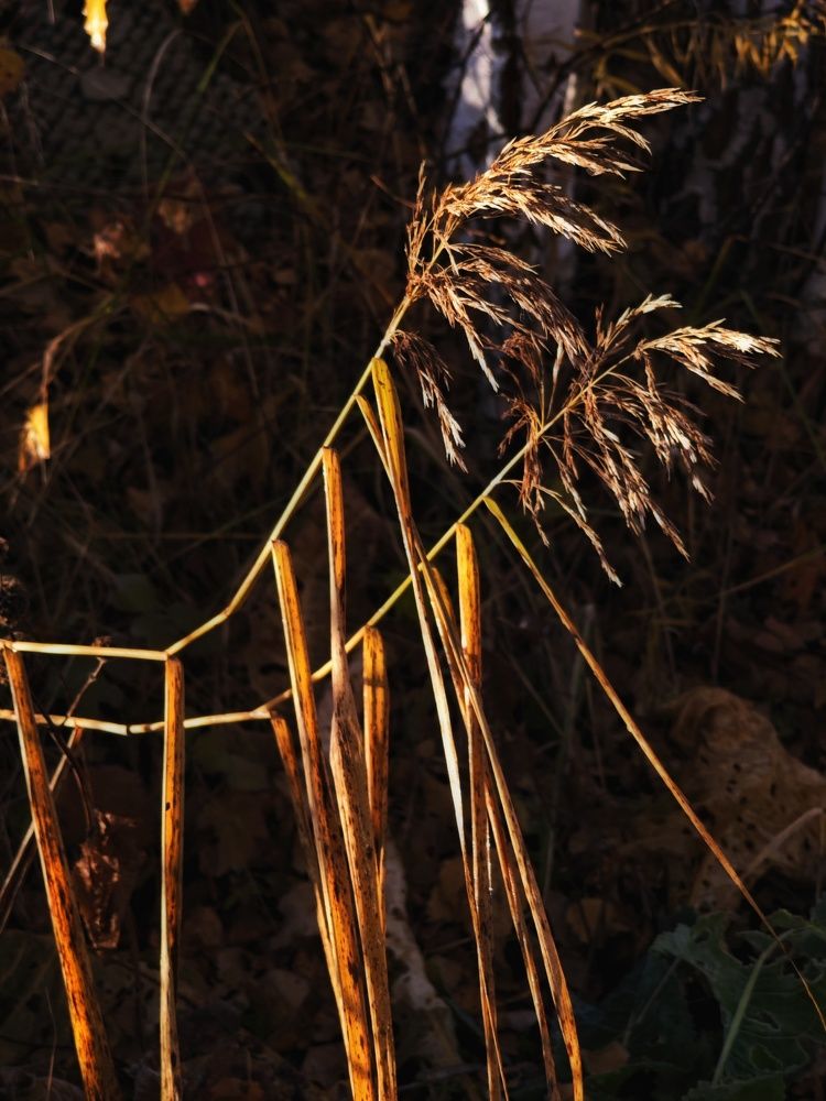 Фотография автора Евгения Владимировна