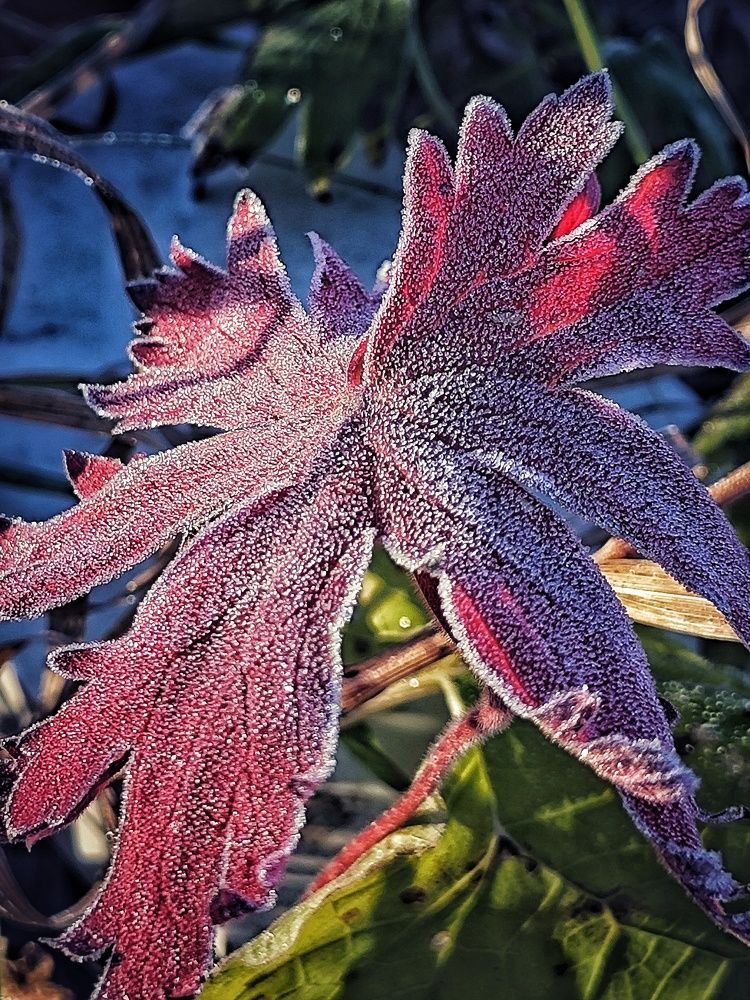 Photograph by Евгения Владимировна