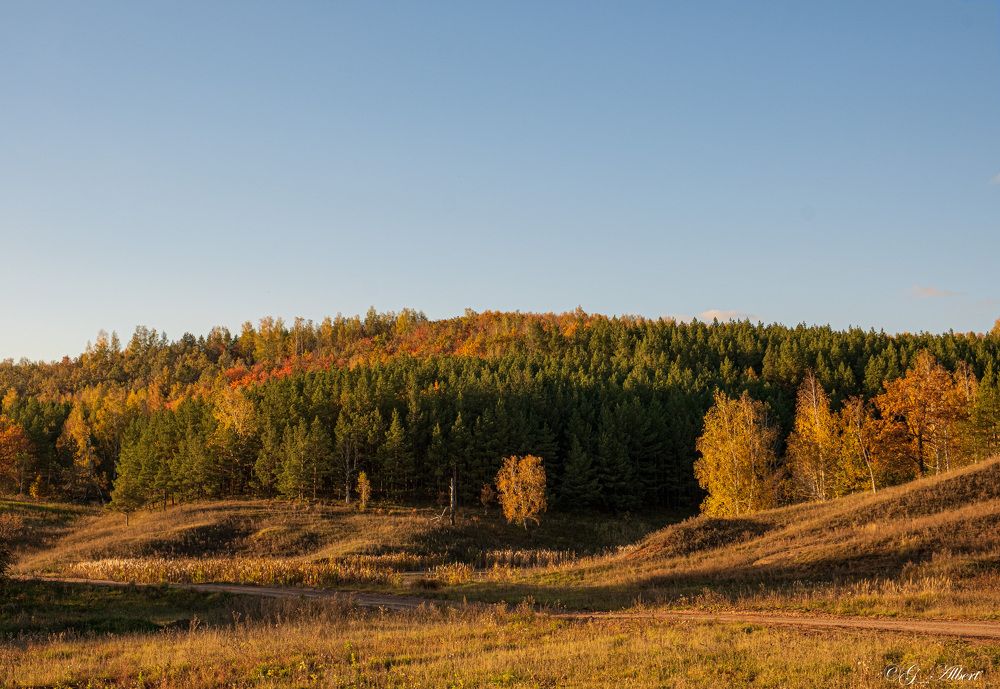 Photograph by Альберт Габбасов
